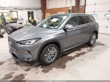 Infiniti QX50 2025 Infiniti QX50 Luxe 2025 2.0L 2.0 Benzyna 268KM, zdjęcie 1