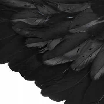 НАБОР АНГЕЛ ДЛЯ ДЕВОЧКИ ДЛЯ МАЛЬЧИКА, КРЫЛЬЯ, ГАЛО, ДИСКУССИЯ, 60Х35СМ