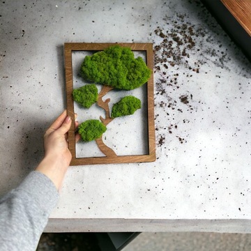 Drzewko NA PREZENT mech chrobotek OBRAZ na ściane drzewko BONSAI ładny 30