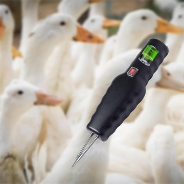 Электрическая птицеводная куртка для цыплят, уток и гусиный черный