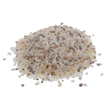 МИНИ РАСТЕНИЯ БЕЛЫЕ КАМНИ