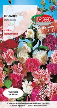 Dzierotka Mieszanka Nasiona 1g Torseed
