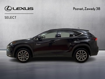 Lexus NX I SUV Facelifting 300 238KM 2019 Lexus NX 300 Prestige AWD I (2014-2021) Lexus NX 3, zdjęcie 4