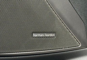 BMW Seria 3 G20-G21 Touring 3.0 330d 265KM 2020 BMW Seria 3 330d xDrive 265 KM Laser HarmanKardon Hak VAT23 3.0 Diesel, zdjęcie 26