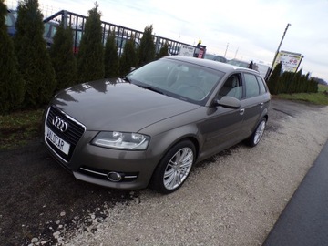 Audi A3 8P Hatchback 3d 1.6 TDI 105KM 2011 AUDI A3 1.6 TDI Z NIEMIEC ZAMIANA, zdjęcie 8