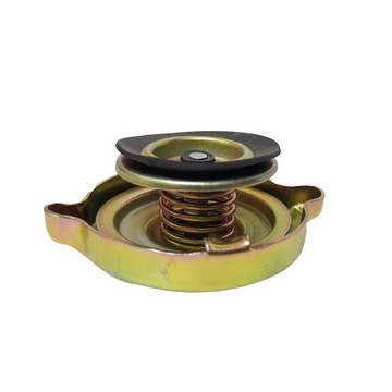 Korek chłodnicy C-360 50413610 Polski