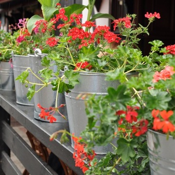 ВЕДРО 12л, металл оцинкованный, серебро, многофункциональное и универсальное.