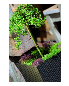 ДОМАШНИЙ САД ГОРШОК RATO НИЗКИЙ ЦВЕТОЧНЫЙ ГОРШОК ИЗ РОТАГА + БЕЛАЯ ВСТАВКА