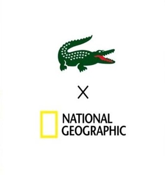 LACOSTE X NATIONAL GEOGRAPHIC sweter v-neck L