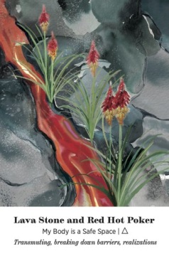 КОЛОДА ЭЗОТЕРИЧЕСКИХ КАРТ РАСТЕНИЯ И КРИСТАЛЛЫ