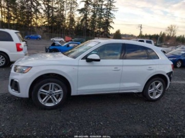 Audi Q5 II 2024 Audi Q5 2024r., S line Premium Plus 55 TFSI e quattro, od ubezpieczalni 2.0, zdjęcie 3