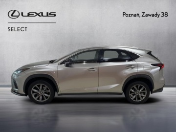 Lexus NX I 2020 Lexus NX 300 GPF F Sport Edition AWD I (2014-2021), zdjęcie 4