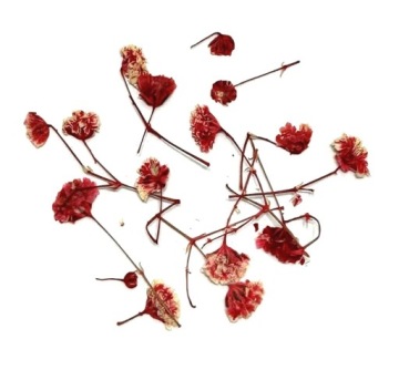 OZDOBA DEKORACYJNE SUSZONE KWIATKI PŁATKI DO ZDOBIEŃ PAZNOKCI DIY