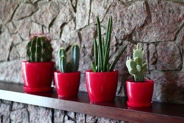 Крышка для цветочного горшка МАГНОЛИЯ, диаметр 21 см, цвет: ЧЕРНЫЙ ГЛЯНЦЕВЫЙ