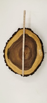 Поднос для журнального столика из орехового дерева, круглый деревянный ломтик 44x37