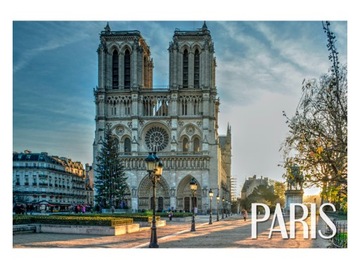 PARYŻ - Katedra - Notre Dame - Magnes na lodówkę