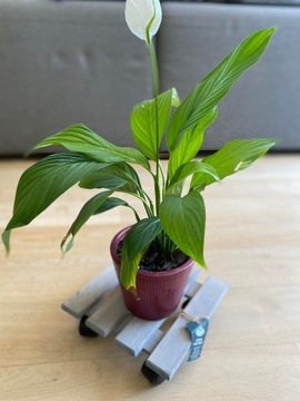 УЛИЧНАЯ ПОДСТАВКА НА КОЛЕСАХ, квадратная