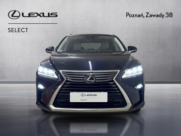 Lexus RX IV SUV 300t 238KM 2019 Lexus RX 200t / 300 Prestige MY19 IV (2015-2020) L, zdjęcie 5