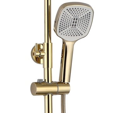 Набор душа с носиком золотой золотой золотой поверхность
