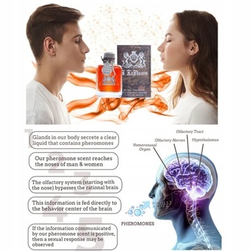 Мужской парфюм Alpha Men для привлечения женщин