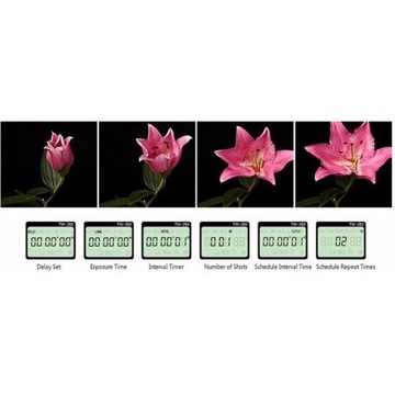 Беспроводной пульт дистанционного управления Pixel RW-283 с таймером для Nikon