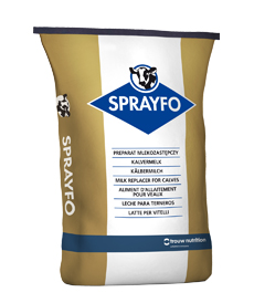 Молоко СПРАЙФО для телят от 3-х дней EXC Energy