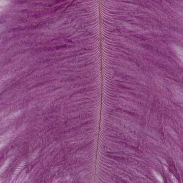 Pióro Strusia Naturalne Farbowane FD Ostrich Herl Purple FD1916