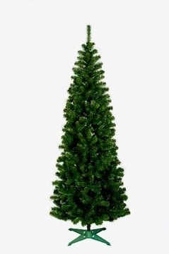 Choinka kolumnowa wąska stożek *KAJA*wys. 100 cm.