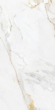 MARSHALL GOLD POLISHED 60x120 - ECOCERAMIC GAT.1