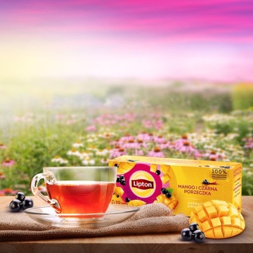 Чайный сервиз Lipton, фруктовый чай, все вкусы, 10х20 пакетиков