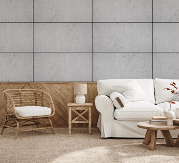 Декоративная стеновая панель 100х50 см Имитация архитектурного бетона