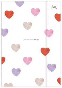 ПАПКА ДЛЯ ЧЕРТЕЖЕЙ А4 С ЛАСТИКОМ LUX METALLIC