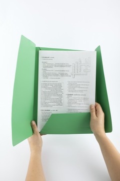 ПЛАСТИКОВАЯ ПИЛКА D.RECT ​​С ЛАСТИКОМ MIX, 6 цветов