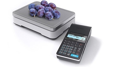 POSNET ERGO ОНЛАЙН-ФИСКАЛЬНЫЙ РЕГИСТР 3.01 Программирование фискализации