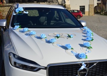 Красивое синее украшение для автомобиля 312