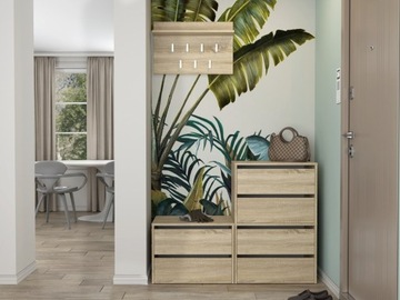 СОВРЕМЕННЫЙ ШКАФ ДЛЯ ОБУВИ ЗАКРЫВАЕМЫЙ