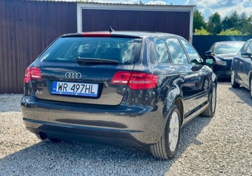 Audi A3 8P Hatchback 3d 1.6 102KM 2008 Audi A3 Sportback 1.6 MPI 102KM skory PDC cliamtronic tempoamt alu grzane, zdjęcie 10