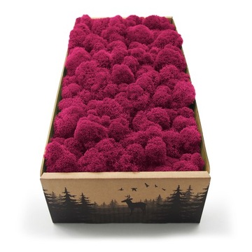 Mech chrobotek z Finlandii 500g netto Ciemny RÓŻOWY