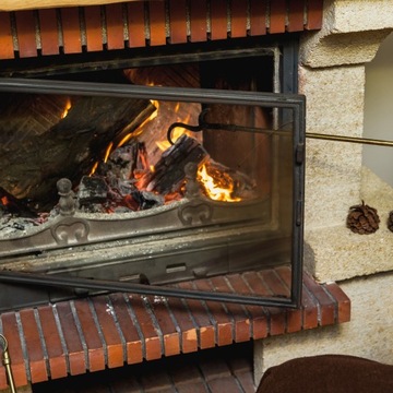 СКРЕБОК ПЕЧНОЙ ЗОЛОТЫ, СКРЕБОК, ПОДБОРНИК