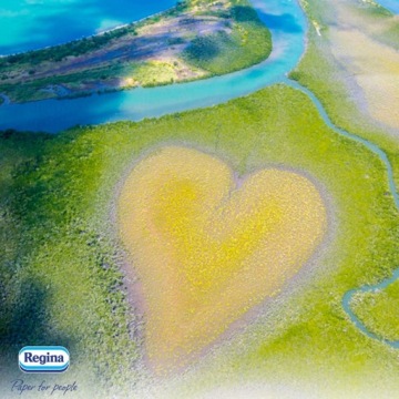 ТУАЛЕТНАЯ БУМАГА без запаха REGINA THE LONGEST ROLLERS компактная 4 рулона