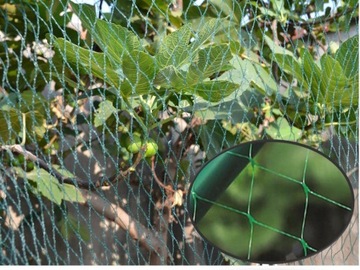 СЕТКА ДЛЯ КУРИЦ АВИЕР ЗАЩИТА САДА 8х14М