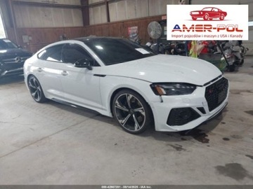 Audi A5 B10 2024 Audi RS5 Coupe Rs5 sportback 2.9 Benzyna 444KM