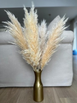 ПАМПАС ТРАВА ДЛЯ СТОЛА, ПУШИСТЫЙ, КРЕМОВЫЙ, НИЗКИЙ, 80 см