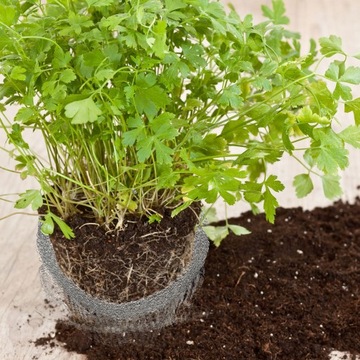 СЕТОЧНАЯ КОРЗИНКА ПРОТИВ КРОТОВ И ПОЛЕВОК 36 СМ