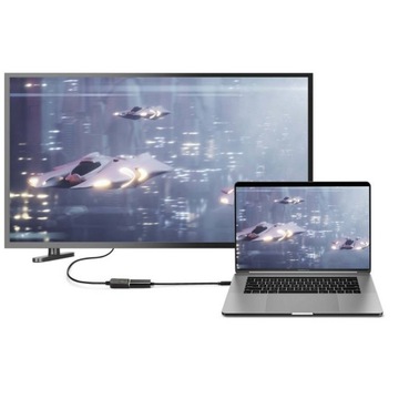 Renkforce RF-4613070 Адаптер USB-C DisplayPort 0,14M