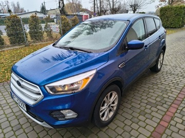 Ford Escape III 2019 Ford Escape 2019 1.5 EcoBoost 182 KM Benzyna AWD, zdjęcie 7