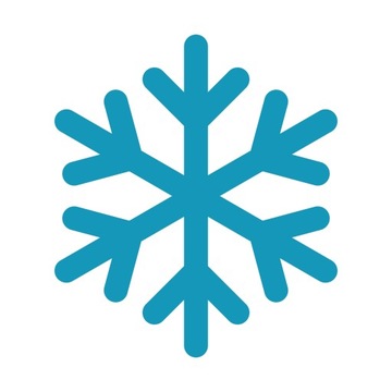 ТЕПЛАЯ ФЛИСОВАЯ РУКОВОДСТВЕННАЯ РУБАШКА CONSUL