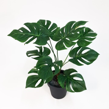 Monstera Sztuczna Kwiat Roślina Liście Monstery