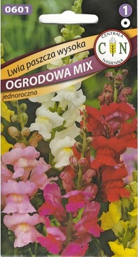 LWIA PASZCZA WYSOKA mix kol. kwietniki kwiat cięty