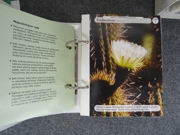 Набор из 6 каталогов ДОМ, ПОЛНЫЙ ЦВЕТОВ Азбука горшечных растений